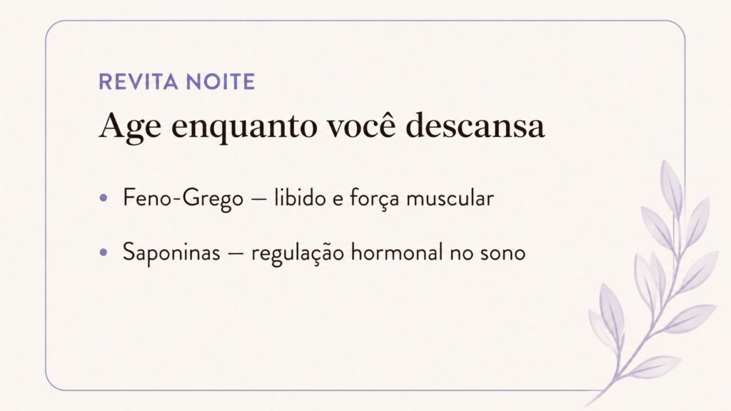 revita_noite_wordpress